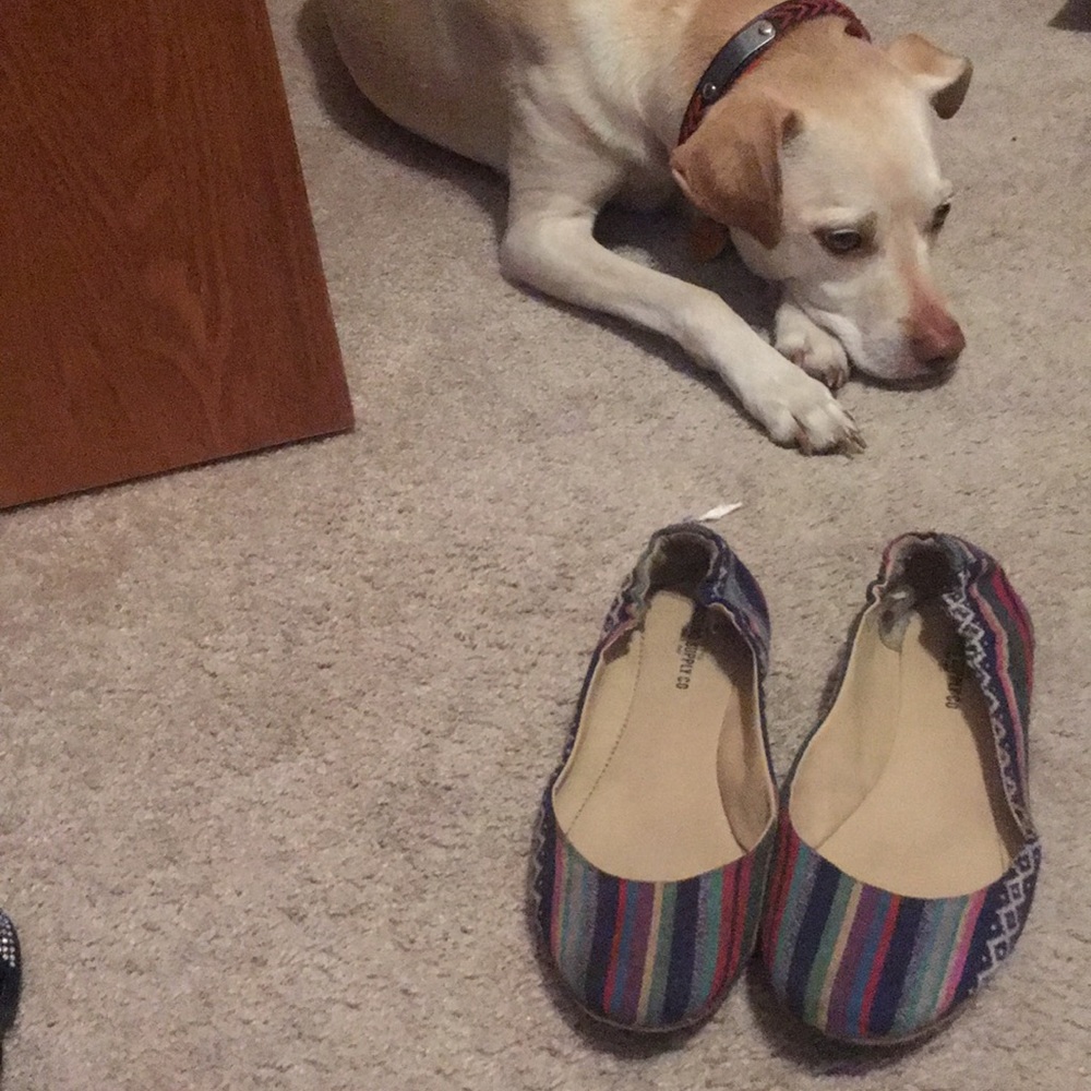 Canvas Flats - Picture 2 of 2